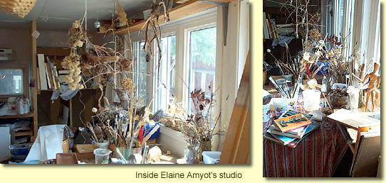 Inside Elaine Amyot's studio